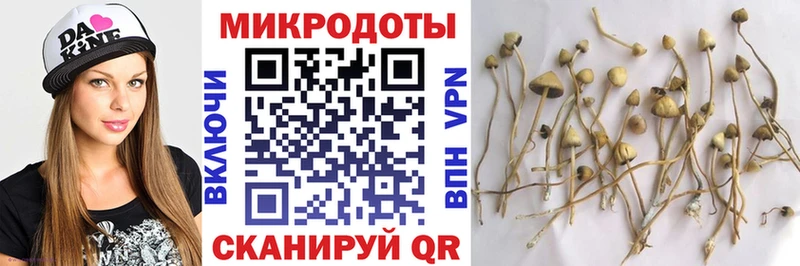 Псилоцибиновые грибы прущие грибы  Артёмовский 